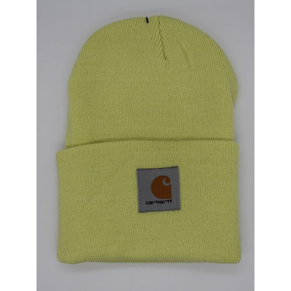 NWT! Carhartt Beanie - GD2
